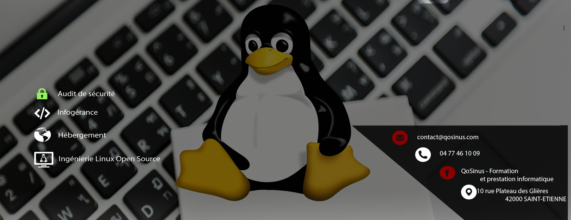 Developpeur web expert Linux!